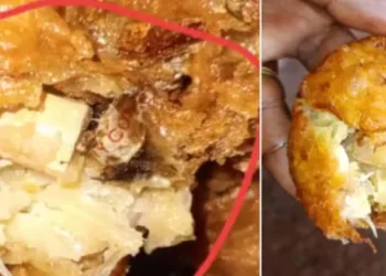 ഉളളിവടയിൽ സിഗരറ്റ് കുറ്റി; പഞ്ചായത്തിന് പരാതി