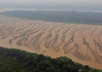 ആമസോൺ നദി വറ്റിവരളുന്നു; അപായ സൂചനയിൽ ഭയന്ന് ഗവേഷകർ; ഭൂമിയെ കാത്തിരിക്കുന്നത് വൻ ദുരന്തം
