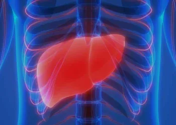 ചില അവയവങ്ങള്‍ക്ക് പെട്ടെന്ന് പ്രായമാകുന്നു; ആ രഹസ്യം കണ്ടെത്തി ശാസ്ത്രം, ഇനി അതിനും പരിഹാരം