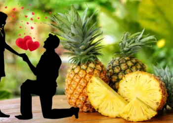 ആപ്പ് വേണ്ട; പൈനാപ്പിൾ വാങ്ങുന്നു,തലകീഴായി വയ്ക്കുന്നു..പെണ്ണ് റെഡി; പങ്കാളിയെ കണ്ടുപിടിക്കാൻ എളുപ്പ മാർഗവുമായി ചെറുപ്പക്കാർ; സോഷ്യൽമീഡിയയിൽ ഹിറ്റ്