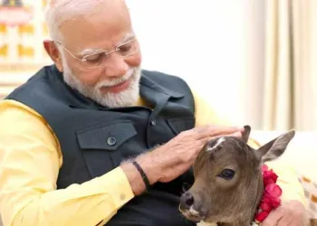 നെറ്റിയില്‍ പ്രകാശകിരണത്തിന്റെ അടയാളം, അതിനാല്‍ ‘ദീപ ജ്യോതി; അതിഥിയെ പരിചയപ്പെടുത്തി പ്രധാനമന്ത്രി