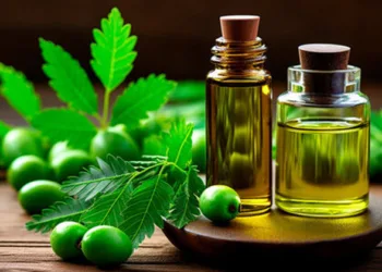 നാലേ നാല് ദിവസം; ദേ വന്നു ദാ പോയി; ആര്യവേപ്പിലുണ്ട് മാജിക്; മുഖക്കുരുവാണോ ഉറക്കം കളയുന്നത് ഇനി വിഷമിക്കേണ്ട!