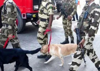 രാജ്യത്തെ ബോംബ് ഭീഷണികള്ക്ക് പിന്നില് അയാള്? രഹസ്യകോഡും പുറത്ത്