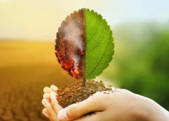 ഭൂമി അപകടാവസ്ഥയിൽ; ജീവന്റെ കണിക പോലും ഇല്ലാതാവാം; രക്ഷിക്കാൻ ലോകം മുഴുവൻ ഇക്കാര്യങ്ങളിൽ കരുതിയിരിക്കേണ്ടി വരും