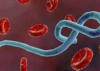 സോഫ്റ്റ് ഡ്രിങ്കുകളില്‍ എബോള വൈറസ്?