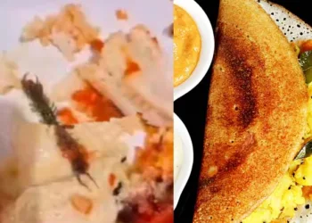 മസാല ദോശയിൽ ചത്ത പഴുതാര; ഇന്ത്യൻ കോഫി ഹൗസിനെതിരെ നടപടി