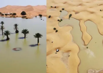 നനഞ്ഞ് കുളിച്ച് മരുഭൂമികൾ; പ്രളയത്തിൽ മുങ്ങി സഹാറയും താറും; വരാൻ പോവുന്നത് വിപത്തോ; ആശങ്കയിൽ ലോകം