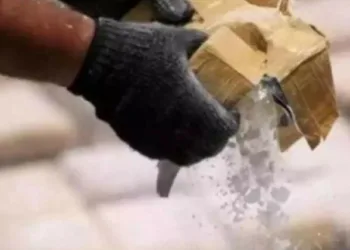 സമീപകാല ചരിത്രത്തിലെ ഏറ്റവും വലിയ ലഹരിവേട്ട; 2000 കോടിയുടെ 500 കിലോ കൊക്കെയ്ൻ പിടിച്ചെടുത്ത പോലീസ്