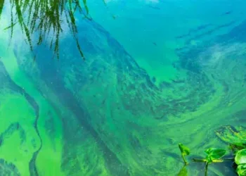 ഭൂമിയ്ക്ക് പുതിയ രക്ഷകന്; വാര്ത്ത പങ്കുവെച്ച് ശാസ്ത്രലോകം