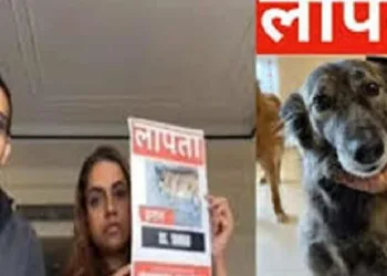 വളർത്തുനായയെ കാണാനില്ല; വിവരം നൽകുന്നവർക്ക് 50,000 രൂപ;  പാരിതോഷികം പ്രഖ്യാപിച്ച് ദമ്പതികള്‍