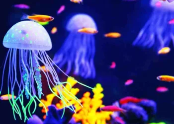 തലച്ചോറില്ല, പക്ഷേ സാമാന്യബുദ്ധിയുണ്ട്; അമ്പരപ്പിക്കുന്ന ജീവികള്‍