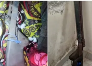 വീട്ടിൽ നിന്ന് നാടൻ തോക്ക് കണ്ടെത്തി ; അന്വേഷണം തുടങ്ങി