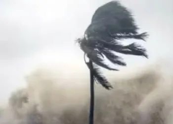 90 കിലോമീറ്റർ വേഗത്തിന് സാധ്യത; ഫിൻജാൽ ചുഴലിക്കാറ്റ് ഇന്ന് ഉച്ചയ്ക്ക് ശേഷം വീശിയടിക്കും ; അതീവ ജാഗ്രത;