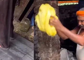 കഴിക്കാനുള്ളതാണെന്ന ചിന്തയില്ലെന്ന് തോന്നുന്നു; സോന്‍ പാപ്ടി ഇങ്ങനെയും ഉണ്ടാക്കാം, വൈറല്‍ വീഡിയോ