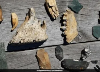 വലിയ തലയുള്ള മനുഷ്യര്‍; വലിപ്പമേറിയ തലയോട്ടിയും തലച്ചോറും; ഇത് പുതിയ മനുഷ്യ വർഗ്ഗത്തിലേക്ക് വെളിച്ചം വീശുന്ന കണ്ടെത്തലോ…?