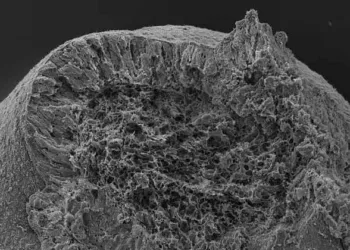 ഇത് മനുഷ്യരൂപീകരണത്തില്‍ ഏറ്റവും വലിയ പങ്കുവഹിക്കുന്ന ഭാഗം, ലാബിലുണ്ടാക്കി ഗവേഷകര്‍, വന്‍നേട്ടം