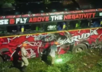 വയനാട് സ്കൂൾ ബസ് താഴ്ചയിലേക്ക് മറിഞ്ഞു; നിരവധി പേർക്ക് പരിക്ക്