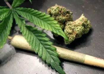 ഒഡീഷയില്‍ നിന്ന് തീവണ്ടിയില്‍ കഞ്ചാവ് കടത്തി; ഒറ്റപ്പാലത്ത് യുവതി പിടിയില്‍