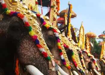 ആനയെഴുന്നള്ളിപ്പിലെ നിയന്ത്രണങ്ങൾ; ശൂന്യതയിൽ നിന്ന് ഉത്തരവിറക്കാനാകില്ല ; ഹൈക്കോടതി ഉത്തരവ് സ്റ്റേ ചെയ്ത് സുപ്രീം കോടതി