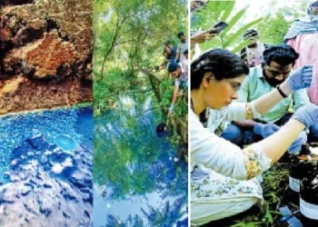 എലത്തൂരിലെ ഇന്ധന ചോര്‍ച്ച; ഡീസല്‍ മണ്ണില്‍ കലര്‍ന്നതിന്റെ പ്രത്യാഘാതം ഗുരുതരമായേക്കുമെന്ന് റിപ്പോർട്ട്