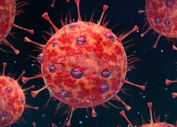 5 വർഷത്തിനിടെ ആദ്യ കേസ് ; കോംഗോ പനി ബാധിച്ച് 51 കാരൻ മരിച്ചു