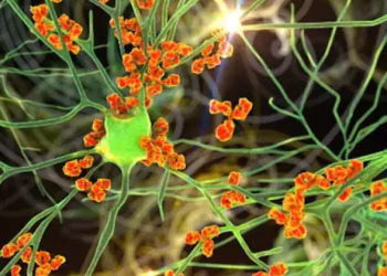 ആശങ്ക വിതച്ച് ഗില്ലൻ ബാരി സിൻഡ്രോം; കേസുകൾ കൂടുന്നു