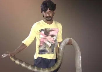 നാഗങ്ങളുടെ തോഴൻ; പ്രതീക്ഷിക്കാതെ എത്തിയ മരണം; നാട്ടുകാരുടെ സ്വന്തം സജുവിന് വിട