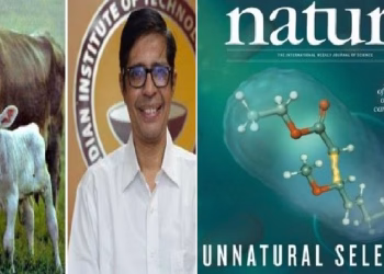 cow urine on nature magazine