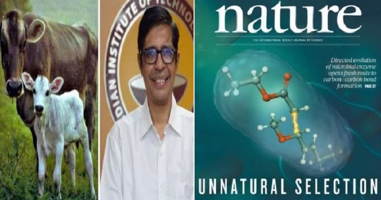 cow urine on nature magazine