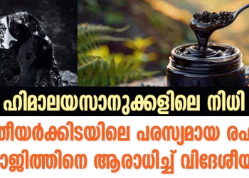 ഭാരതീയർക്കിടയിലെ പരസ്യമായ രഹസ്യം; ശിലാജിത്തിനെ ആരാധിച്ച് വിദേശീയരും: ഹിമാനസാനുക്കളിൾ ഒളിപ്പിച്ച നിധി?