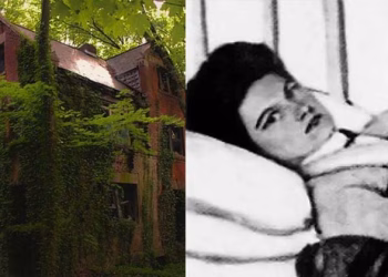 ടൈഫോയ്ഡ് മേരിയും നോർത്ത് ബ്രദർ ദ്വീപും; അറിയാം ഈ കുപ്രസിദ്ധമായ പ്രകൃതിയുടെ സ്വർഗത്തെ കുറിച്ച്