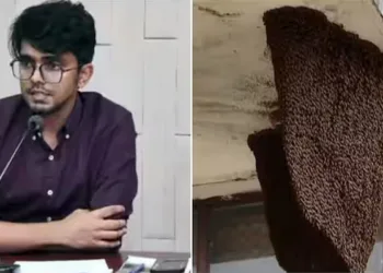 ബോംബ് ഭീഷണി; പരിശോധനയ്ക്കിടെ തേനീച്ച കൂട് ഇളകി; സബ് കളക്ടർ ആൽഫ്രഡ് ഒവിയ്ക്ക് പരിക്കേറ്റു