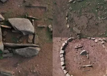 മലമ്പുഴയിൽ ചരിത്രം ഉറങ്ങുന്നു,പരന്നുകിടക്കുന്നത് 45 ഹെക്ടറിൽ; മഹാശിലായുഗത്തിലെ നിർമ്മിതികൾ കണ്ട് അമ്പരന്ന് പുരാവസ്തു ഗവേഷകർ; ഒഴുകി ജനം