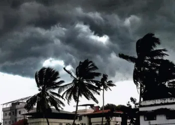 വേനലിന് കുളിരായി മഴ; മൂന്ന് ജില്ലകളിൽ യെല്ലോ അലർട്ട്