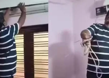 ഓൺ ചെയ്തപ്പോൾ ഉള്ളിൽ നിന്ന് ശബ്ദം, വീട്ടിലെ എസിക്കുള്ളിൽ ഒളിഞ്ഞിരുന്നത് പാമ്പിൻകൂട്ടം: വേനൽക്കാലത്ത് ജാഗ്രതവേണം