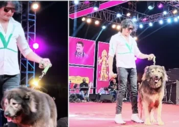 ഭൂമിയിൽ ഒരെണ്ണം മാത്രമുള്ള ഈ ഹൈബ്രിഡ് നായയുടെ വില 50 കോടി ; ലോകത്തിലെ ഏറ്റവും വിലകൂടിയ നായയെ സ്വന്തമാക്കി ബെംഗളൂരു ബ്രീഡർ