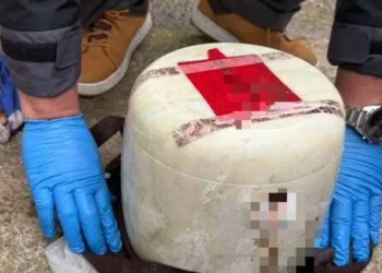 തേച്ച കാമുകിയുടെ പിതാവിന്റെ ചിതാഭസ്മം മോഷ്ടിച്ച് കോഴികർഷകൻ; വീണ്ടും ഒന്നിച്ചില്ലെങ്കിൽ പ്രശ്‌നമാകുമെന്ന് ഭീഷണി