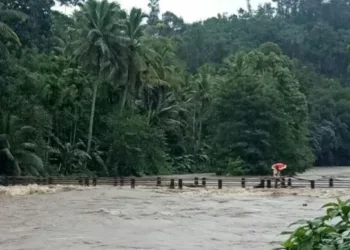 കനത്ത മഴ ; നദികളിൽ ജലനിരപ്പ് ഉയരുന്നു ; ജാഗ്രതാ നിർദ്ദേശം