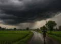 അതിതീവ്ര മഴ ; അഞ്ച് ജില്ലകളിൽ റെഡ് അലർട്ട് ; ജാഗ്രത നിർദ്ദേശം പുറപ്പെടുവിച്ച് സംസ്ഥാന ദുരന്ത നിവാരണ അതോറിറ്റി