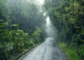 മഴ തുടരും ; ഇന്ന് 10 ജില്ലകൾക്ക് മുന്നറിയിപ്പ്