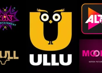 അശ്ലീലവും അസഭ്യവുമായ ഉള്ളടക്കം ; 25 ഒടിടി പ്ലാറ്റ്‌ഫോമുകൾക്ക് നിരോധനവുമായി കേന്ദ്രസർക്കാർ