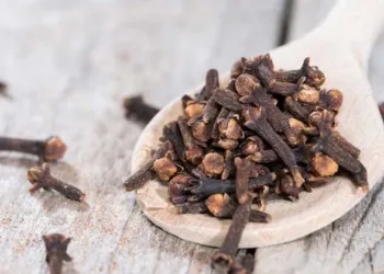 ദിവസവും ഒരു ഗ്രാമ്പൂ ശീലമാക്കിയാൽ മതി…നിങ്ങളുടെ പല പ്രശ്‌നങ്ങൾക്കും പരിഹാരം ഉടനടിയിൽ