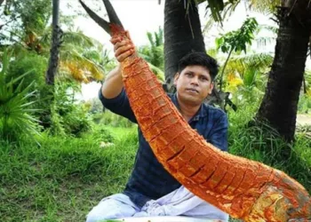 യൂട്യൂബ് വരുമാനം കൊണ്ട് മുന്നോട്ട് പോകാനാവുന്നില്ല; ചാനൽ നിർത്തുന്നു; ആരാധകരെ ഞെട്ടിക്കുന്ന പ്രഖ്യാപനവുമായി ഫിറോസ് ചുട്ടിപ്പാറ