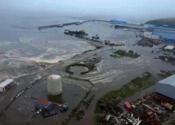 ലോക ചരിത്രത്തിലെ ഏറ്റവും വലിയ ആറാമത്തെ ഭൂകമ്പം ; ജപ്പാനിൽ സുനാമിയിൽ കരയ്ക്കടിഞ്ഞ് കൂറ്റൻ തിമിംഗലങ്ങൾ