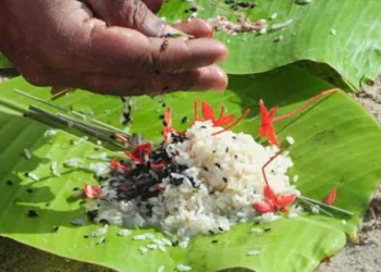 ഇന്ന് കർക്കടക വാവ്; പിതൃമോക്ഷം തേടി സ്‌നാനഘട്ടങ്ങളിലെത്തുന്നത് ആയിരങ്ങൾ