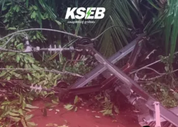 വൈദ്യുതി അപകടങ്ങൾ വർദ്ധിക്കുന്നു ; അതിരാവിലെ റോഡുകളിൽ ഇറങ്ങുന്നവർ ജാഗ്രത പാലിക്കണമെന്ന് കെഎസ്ഇബിയുടെ മുന്നറിയിപ്പ്