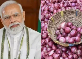 ഉള്ളി വിലവർദ്ധനവ് നിയന്ത്രിക്കും ; സെപ്റ്റംബർ മുതൽ 3 ലക്ഷം ടൺ ബഫർ ഉള്ളി സ്റ്റോക്ക് പുറത്തിറക്കുമെന്ന് കേന്ദ്രസർക്കാർ