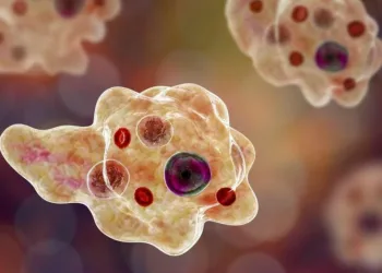 കോഴിക്കോട് അമീബിക് മസ്തിഷ്കജ്വരം ബാധിച്ച മൂന്നുമാസം പ്രായമുള്ള കുഞ്ഞിന്റെ നില ഗുരുതരം ; സമീപപ്രദേശങ്ങളിലെ കിണറുകളും ശുചീകരിക്കും