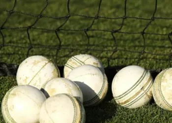 ഇന്ത്യൻ ക്രിക്കറ്റ് താരം ഫരീദ് ഖാൻ വാഹനാപകടത്തിൽ മരിച്ചു, സിസിടിവി ദൃശ്യങ്ങൾ പുറത്ത്