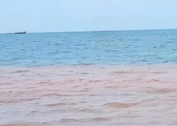 കടൽ വെള്ളത്തിന് ചുവപ്പ് നിറം ; പരാതിയുമായി പ്രദേശവാസികൾ; ആശങ്ക വേണ്ടെന്ന് കുഫോസ്